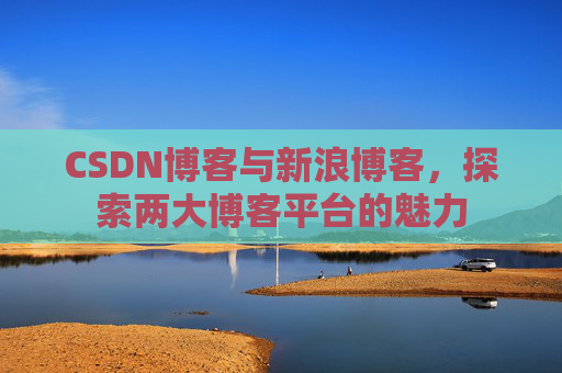 CSDN博客与新浪博客，探索两大博客平台的魅力